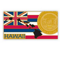 Hawaii Pin